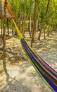 Colorful hammocks in Mexican tropical jungle forest in Tulum Mexico Royalty Free Stock Photo