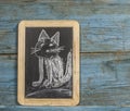 Colorful hand drawing with chalk on blackboard : funny cat