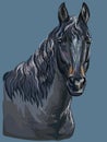 Colorful hand drawing Horse portrait-9 Royalty Free Stock Photo