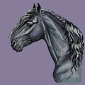Colorful hand drawing Horse portrait-5 Royalty Free Stock Photo