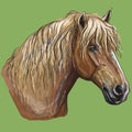 Colorful hand drawing Horse portrait-2 Royalty Free Stock Photo