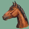 Colorful hand drawing Horse portrait-6 Royalty Free Stock Photo