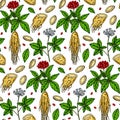 Colorful Hand drawn ginseng seamless pattern. Vector illustration in sketch style. Medicinal plant background. Botany design Royalty Free Stock Photo