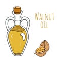 Colorful hand drawn walnut oil bottle Royalty Free Stock Photo