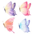 Colorful hand drawn watercolor butterfly collection. Ideal for invitations, cards, wallpapers, printing on fabric. Royalty Free Stock Photo