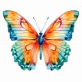 Colorful Hand Drawn Watercolor Butterfly Illustration