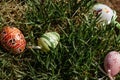 Colorful hand painted Easter eggs. Easter eggs in spring green grass.Happy Easter.Spring festive symbols.Holiday Still life photo. Royalty Free Stock Photo