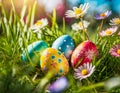 Colorful hand painted Easter eggs hidden in flowers Royalty Free Stock Photo