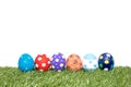 Colorful handmade easter eggs on green grass Royalty Free Stock Photo