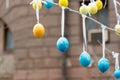 Colorful handmade egges for easter in branches outdoor. Royalty Free Stock Photo