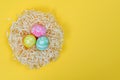 Colorful handmade painted by a child Easter eggs in the nest isolated on a yellow background. Traditional handcraft for Royalty Free Stock Photo