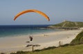 Colorful Hang Glider Flying Over Porthmeor Beach, Saint Ives, Cornwall. Royalty Free Stock Photo