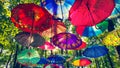 Colorful hanging tree umbrellas with shining sun rays in mid day in forest