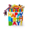 Birthday Present For a Dog Royalty Free Stock Photo