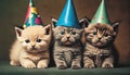 Party cats wearing hats Royalty Free Stock Photo