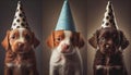 Happy puppy dogs wearing party hats celebrating