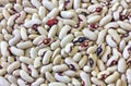 Colorful haricot beans background Royalty Free Stock Photo
