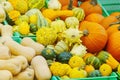 Colorful Harvest: Assorted Vegetables in Baskets. Selling ugly vegetables Royalty Free Stock Photo