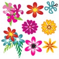 Colorful Hawaiian flower set Royalty Free Stock Photo