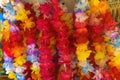 Colorful Hawaiian Plastic Leis Maui Hawaii Royalty Free Stock Photo