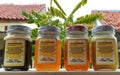 colorful health honey