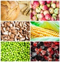 Colorful healthy food collage Royalty Free Stock Photo
