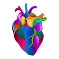 Colorful human heart beautiful creative artwork vector illustration