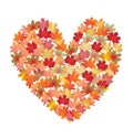 Colorful heart shape from maple autumn leaves.