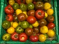 Colorful heirloom tomato assortment