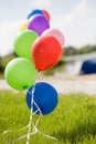 Colorful helium baloons at grass opposite blue sky Royalty Free Stock Photo
