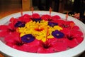 Colorful hibiscus and other flowers floating in water