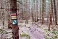Colorful hiking trail signs painted on tree bark in forest for tourists and hikers Royalty Free Stock Photo
