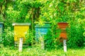 Colorful hives in traditional village