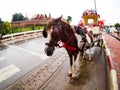 Colorful horse carriage in Lampang Thailand.