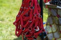 Colorful horse halter ropes at local horse race