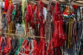 Colorful horse halter ropes at local horse race