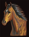 Colorful horse portrait vector 23