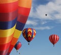 Colorful hot air balloons