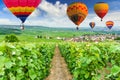 Colorful hot air balloons flying over champagne Vineyards at Montagne de Reims, France