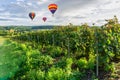 Colorful hot air balloons flying over champagne Vineyards at sunset montagne de Reims, France Royalty Free Stock Photo