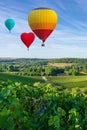 Colorful hot air balloons flying over champagne Vineyards at sunset montagne de Reims Royalty Free Stock Photo