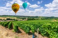 Colorful hot air balloons flying over champagne Vineyards at sunset montagne de Reims, France Royalty Free Stock Photo