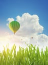 Colorful hot air balloons flying over green grass field in spring Royalty Free Stock Photo