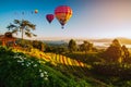Colorful hot-air balloons flying over the mountain and mist in morning. Sport, Travel and Tourism. Balloons over Huai Nam Dang Royalty Free Stock Photo