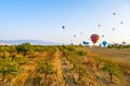 Colorful hot-air balloons launching into the sky over landscape of olive trees orchard Royalty Free Stock Photo