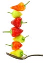 Colorful hot mini chili peppers balance on fork