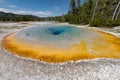 Colorful Hot Springs in Biscuit Basin