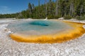 Colorful Hot Springs in Biscuit Basin