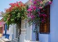 Colorful houses with flowers. Cartagena das Indias, Colombia Royalty Free Stock Photo