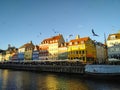 Colorful houses in the Nyhavn harbour. Birds fly over harbour. Copenhagen, Denmark.